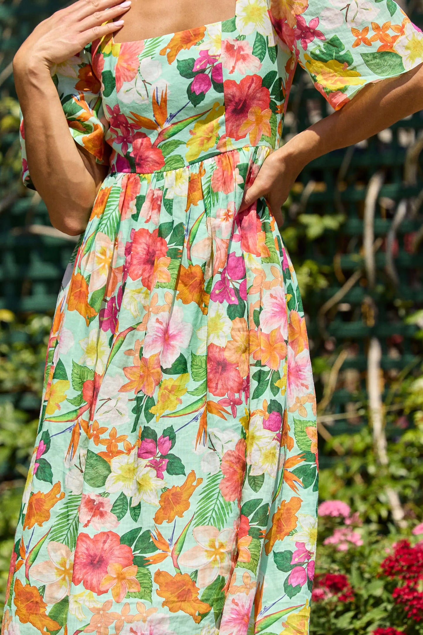 Dresses Isabella Longginou