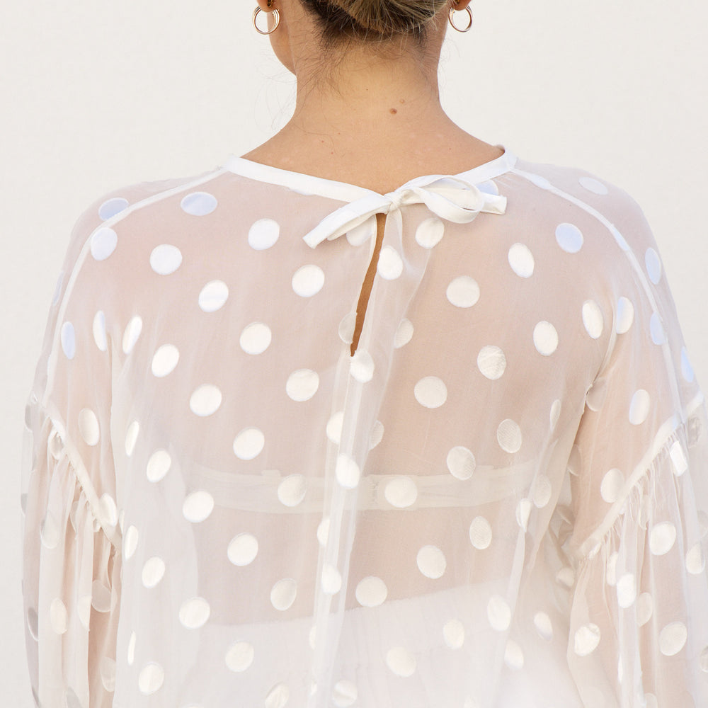 
                      
                        Sheer Spot Balloon Sleeve Blouse
                      
                    