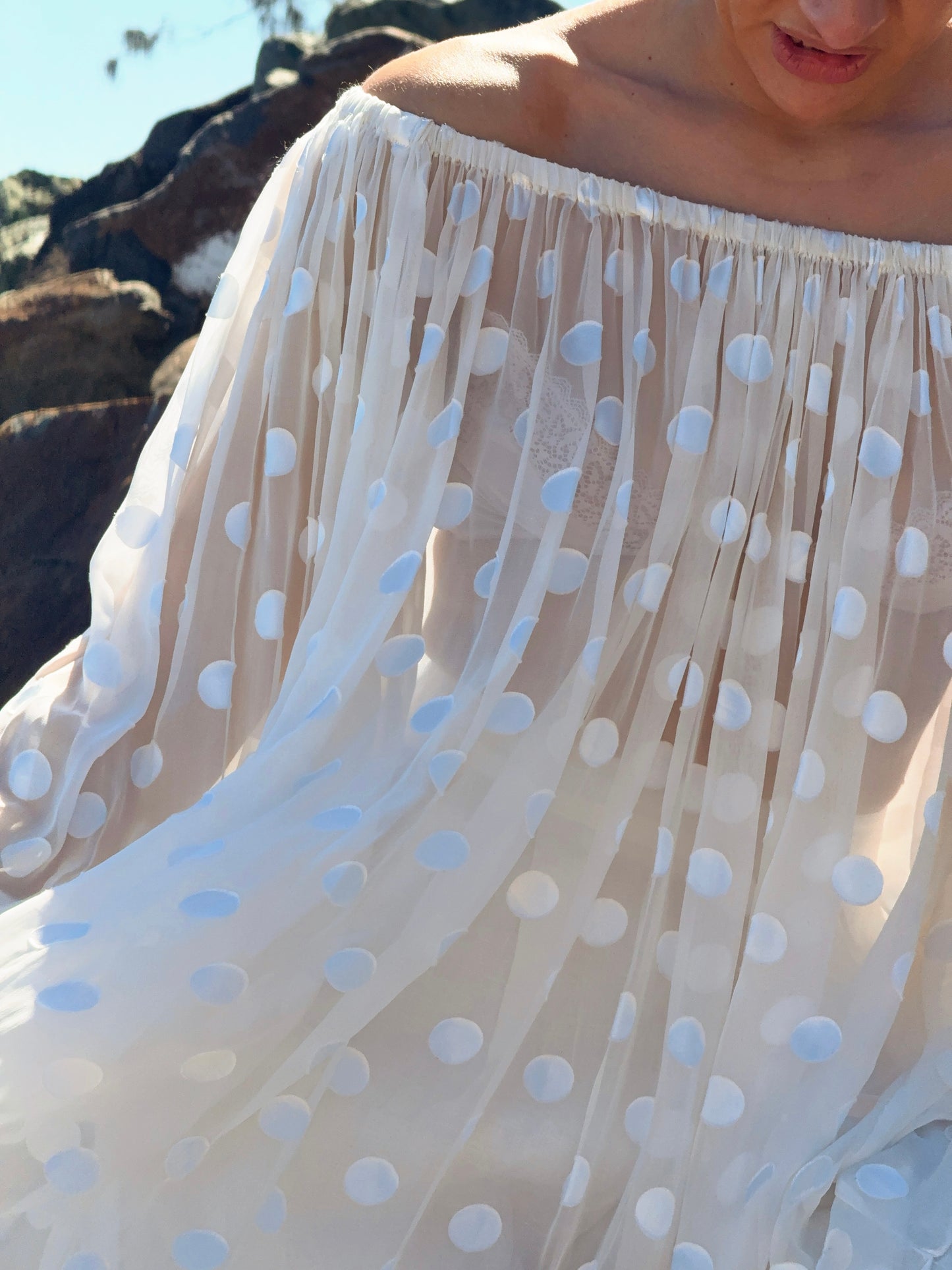 Sheer Spot OTS Dress