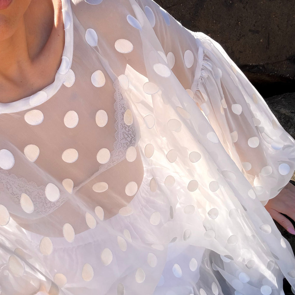 Sheer Spot Balloon Sleeve Blouse