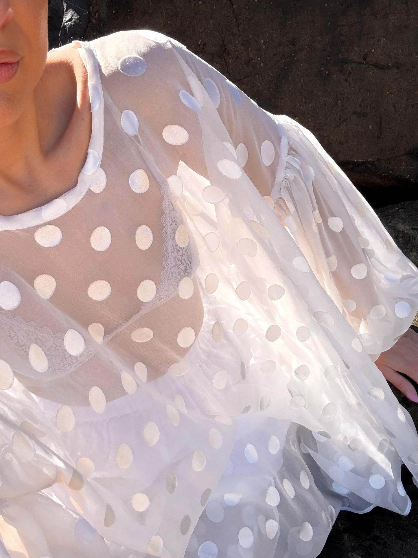 Sheer Spot Balloon Sleeve Blouse